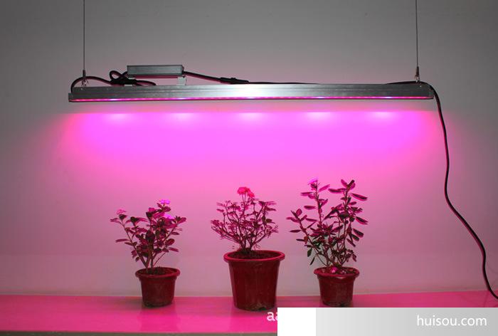 led植物生长灯