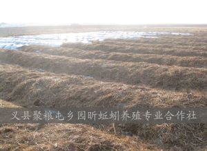 义县聚粮屯乡园昕蚯蚓养殖专业合作社