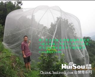 果树防虫网罩供应