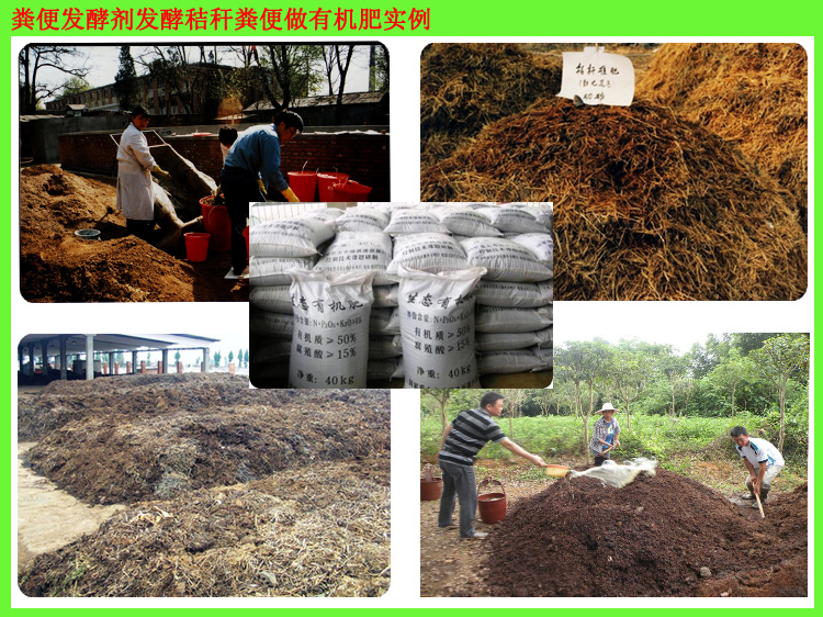 使用农富康生物菌肥发酵剂发酵有机肥要注意事项: 1、发酵温度和周期会随环境温度的变化、物料含水率、搅拌情况及原辅料的变化而有所变化。 2、避免将本品和其他化学杀菌剂同时使用。 3、本品由国家认定的有益微生物组成,安全无害。本公司对本产品质量负责。 为了您的切身利益,杜绝受骗,请通过以下方式购买农富康产品: 1、前往农富康公司订货:郑州市金水区花园路159号(与北环路交叉口向东200米路南)。 2、如您当地有农富康公司代理商请其出示与农富康公司签订的代理合同和农富康公司颁发的代理标识牌。 3、外地用户可联