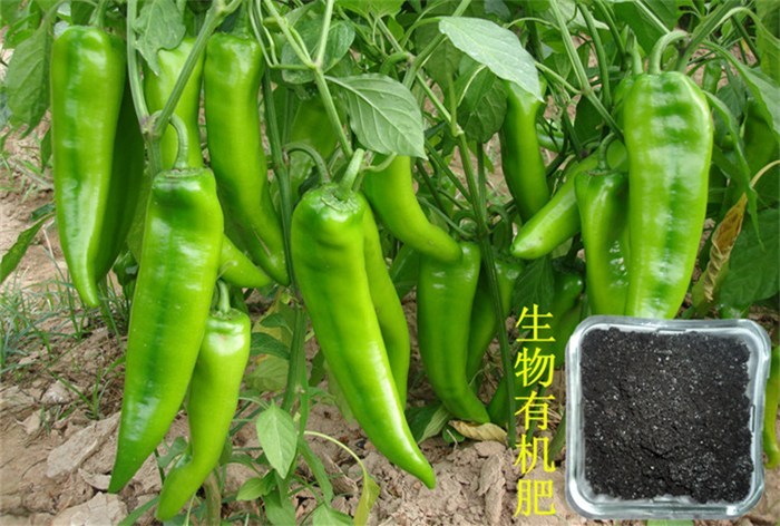 生物肥料价格_生物有机肥菌种,生物有机肥,果